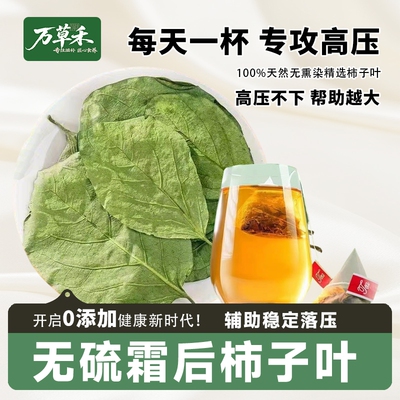 天然霜后柿子叶茶正品中药材