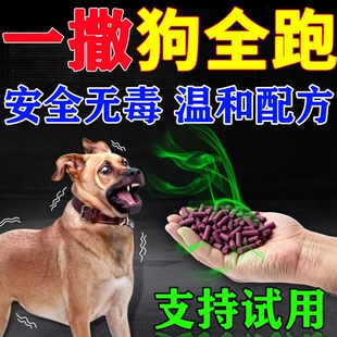 驱狗辣椒素精油喷剂药防狗乱拉屎尿一闻就长效室外专用强力樟脑丸