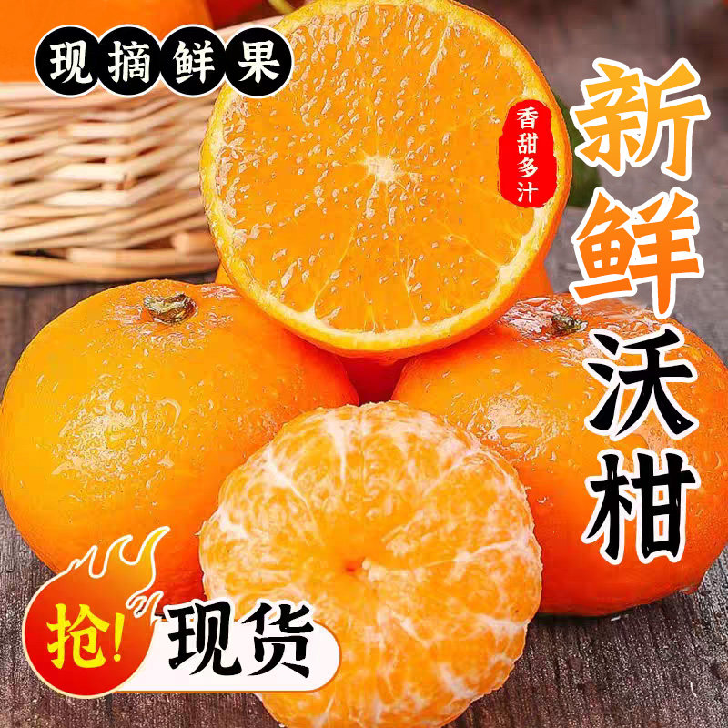 现摘新鲜沃柑水果当季大果纯甜蜜桔柑橘砂糖橘子整箱包邮,水产肉类/新鲜蔬果/熟食,桔子,淘宝优惠券,粉丝福利购,淘宝优惠卷