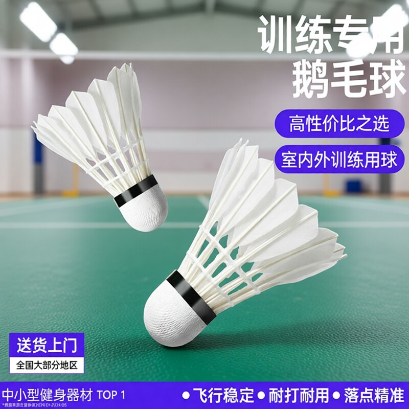 羽毛球12支装耐打鹅毛抗风羽毛球比赛训练专用稳定室外学习训练球