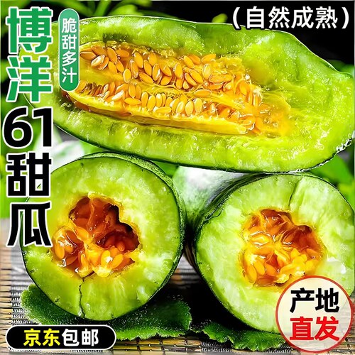 博洋61山东羊角蜜甜瓜新鲜水果5斤当季脆甜蜜瓜香瓜时令脆整箱邮