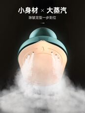 Паровая щетка 志高手持挂烫机家用小型熨烫机便携式蒸汽电熨斗宿舍衣服烫斗神器