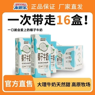 来思尔椰子牛奶206gx16盒装 整箱批发价云南大理高原牧场日期新鲜