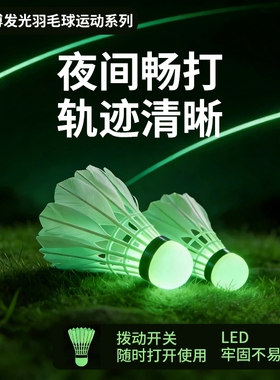 夜光羽毛球鹅毛防风带灯户外训练尼龙夜间荧光鸭毛会发光套装耐打