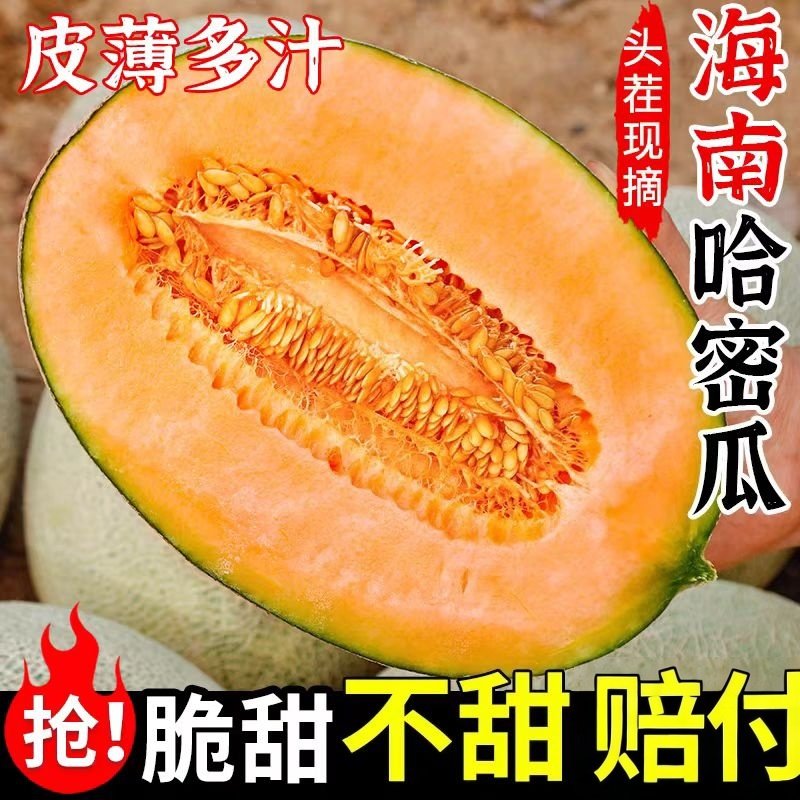 海南哈密瓜沙地瓜爆甜新鲜现摘当季水果正宗蜜瓜一整箱批发,水产肉类/新鲜蔬果/熟食,哈密瓜,淘宝优惠券,粉丝福利购,淘宝优惠卷