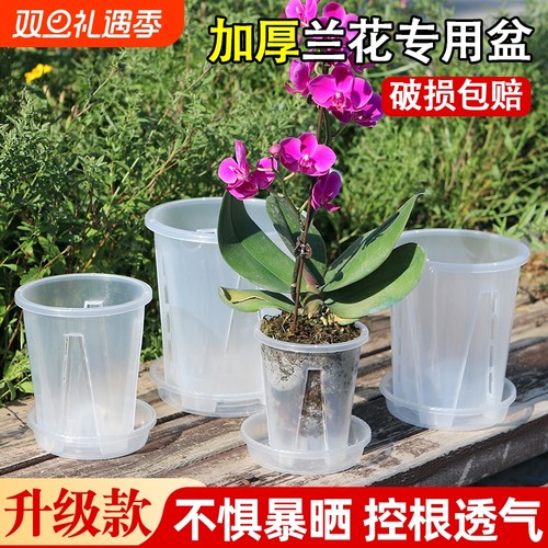 花大爷大号加厚升级控根透气空气柱花盆透明环保树脂塑料种植花盆