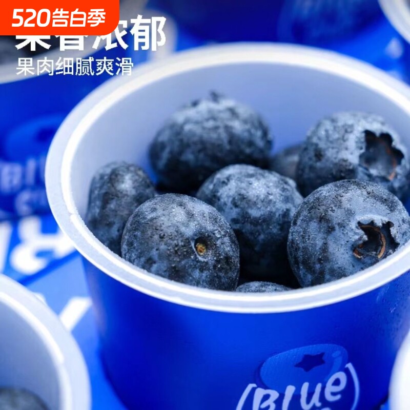 顺丰云南花香当季现摘小懒杯蓝莓鲜果礼盒小蓝杯新鲜孕妇大果盒装