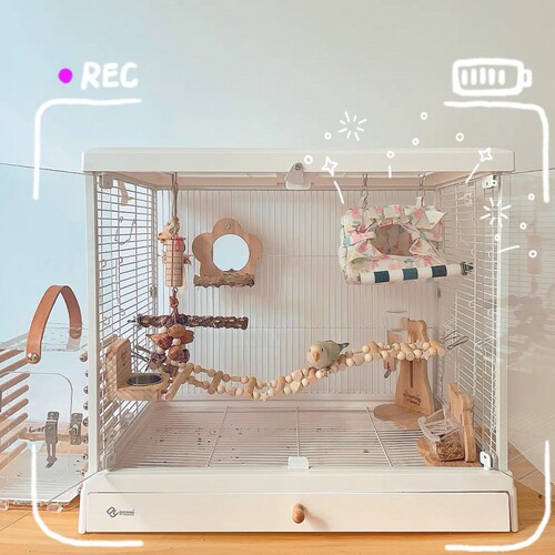 达洋鸟笼b6001透明观赏鸟笼家用鹦鹉笼子6001