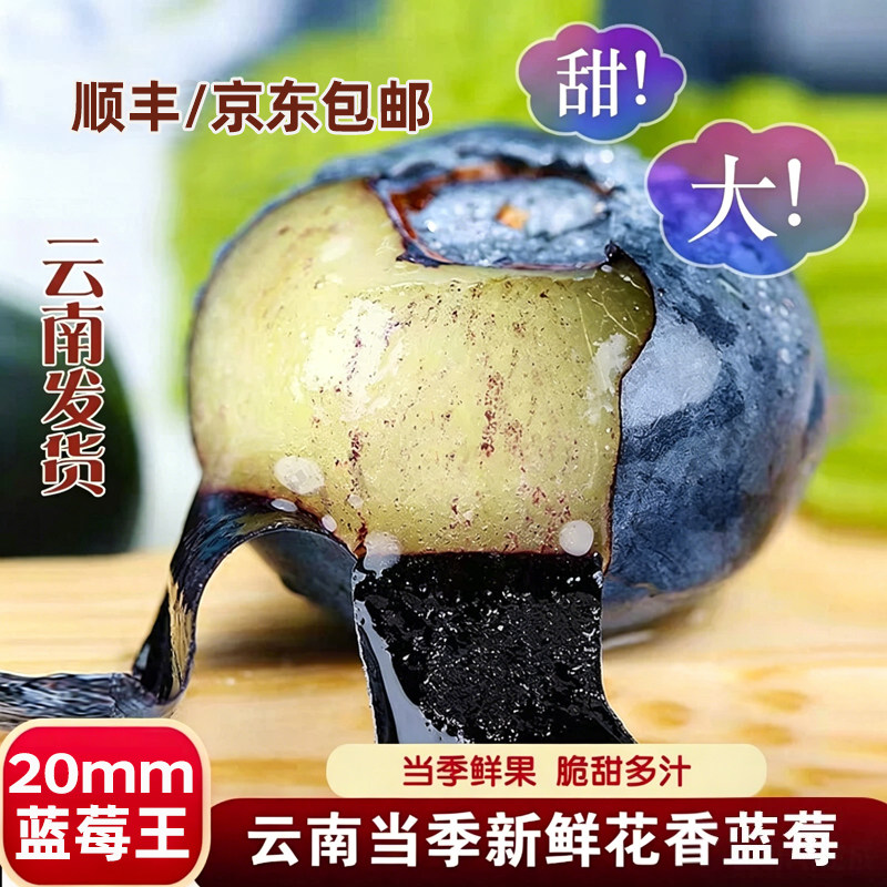 顺丰JD云南蓝莓鲜果特大果当季高山花香新鲜水果怡颗现摘生鲜自提