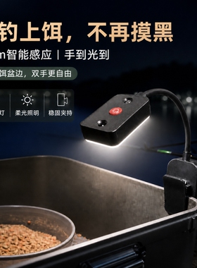 上饵灯夜钓感应钓鱼灯野钓饵料盘拉饵灯换饵LED充电垂钓渔具装备