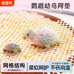 鹦鹉垫网养殖防滑垫虎皮牡丹玄凤幼鸟雏鸟脚垫软乳胶隔粪板育雏网