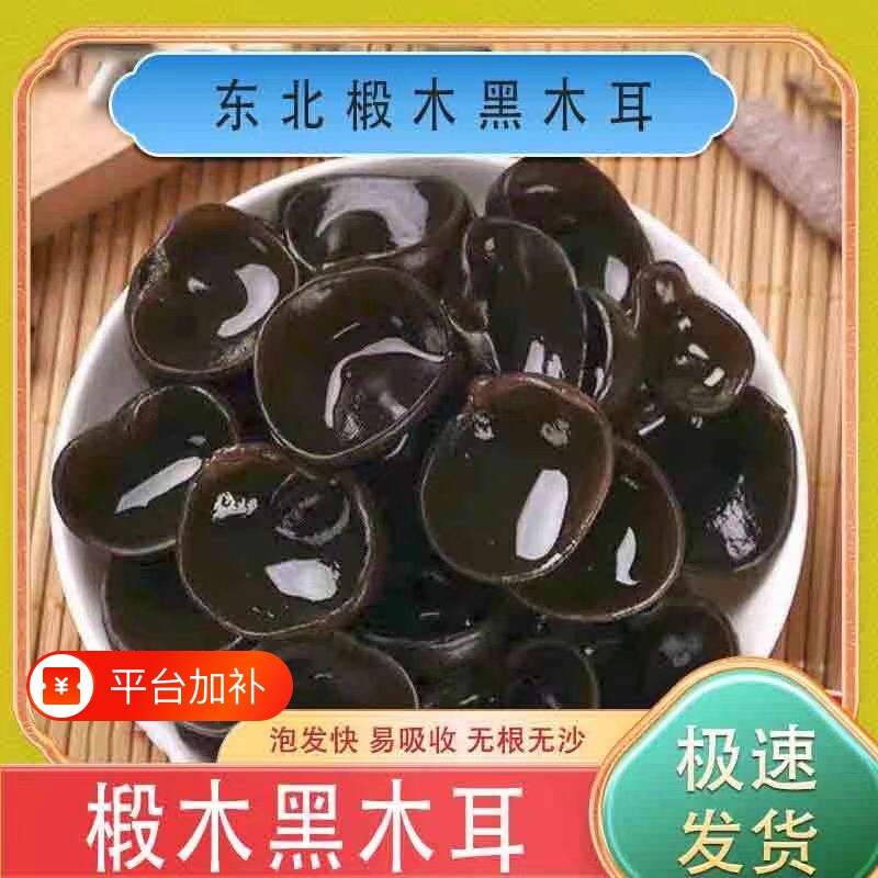 长白山农家椴木小碗秋木耳正宗东北黑木耳干货凉拌菜软糯源头新鲜