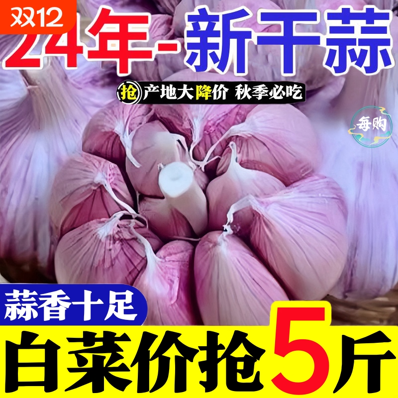 【首单直降】大蒜头批发干蒜紫皮大蒜头干蒜特大新鲜大蒜批发包邮