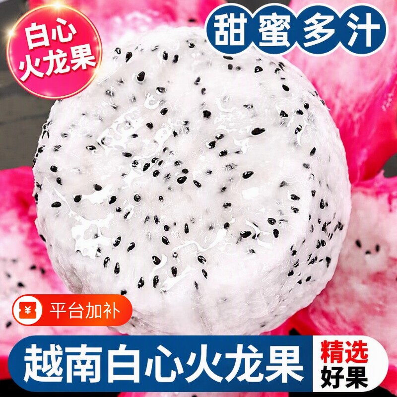 正宗越南新鲜白心火龙果当季热带水果非红心火龙果整箱包邮批发