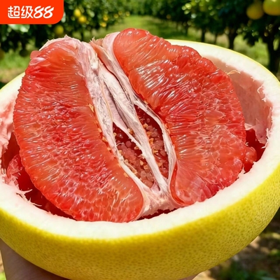 正宗高山老树红心蜜柚9斤红心柚子水果红肉蜜柚新鲜现摘广西仓发