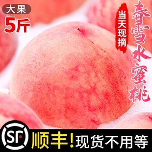春雪水蜜桃新鲜水果现摘5斤桃子时令孕妇脆桃当季整箱顺丰包邮