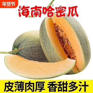 【精选】正宗海南新鲜哈密瓜脆甜甜蜜整箱甜瓜蜜瓜当季现摘西周蜜