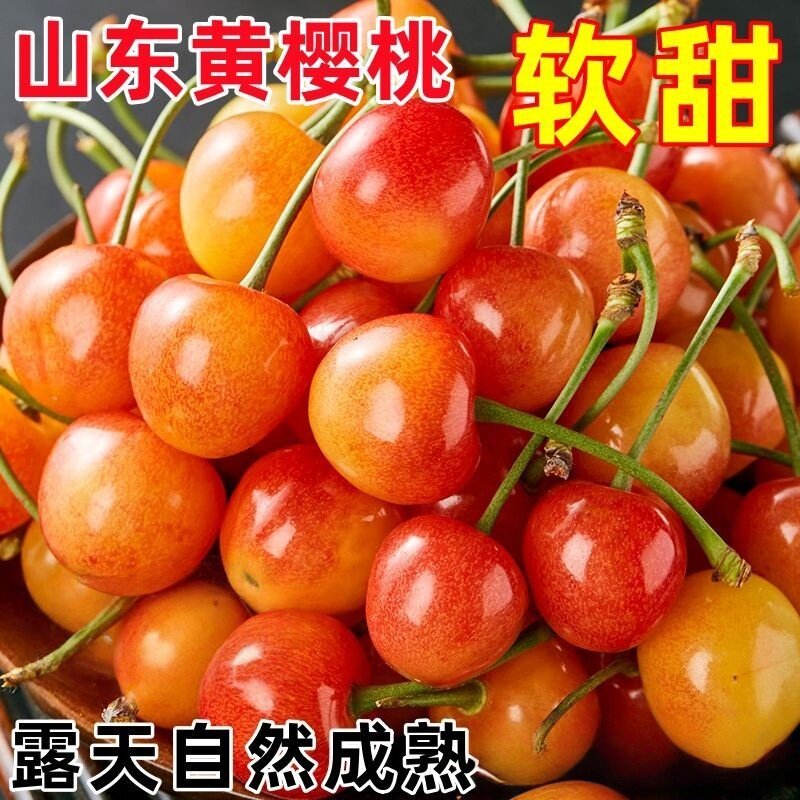 黄樱桃新鲜水果孕妇黄金车厘子雷尼烟台黄水晶黄蜜当季山东大樱桃