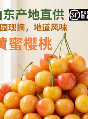 山东黄樱桃露天烟台黄水晶黄色黄蜜国产黄金雷尼车厘子5水果新鲜