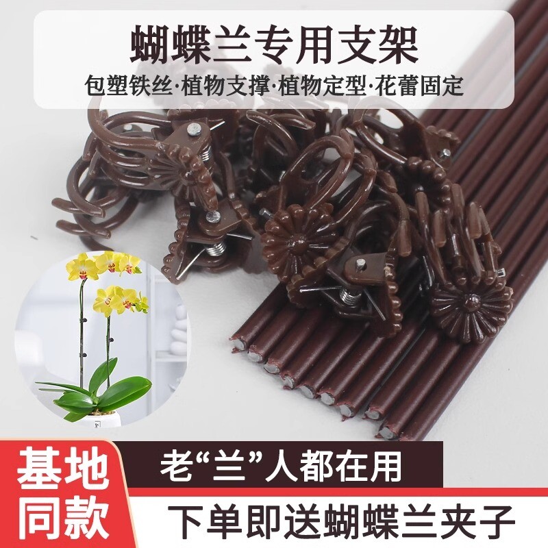 蝴蝶兰花支架兰夹子支撑杆植物爬藤花卉固定专用铁丝支架园艺造型
