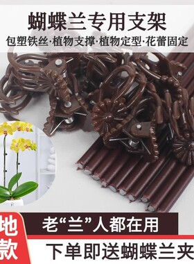 蝴蝶兰花支架兰夹子支撑杆