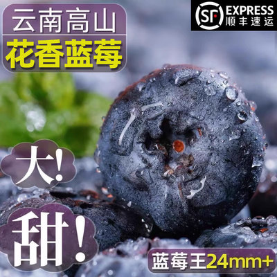 云南高山花香蓝莓头茬鲜果特大果怡佳颗沃应当季水果整箱顺丰