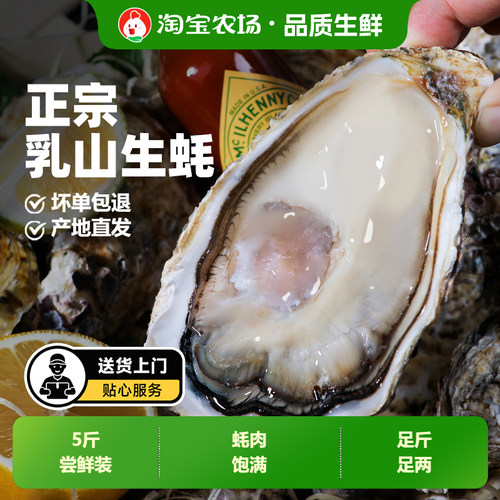 鲜活乳山生蚝5斤牡蛎海蛎子特大海鲜批发商用品质蚝王新鲜烧烤