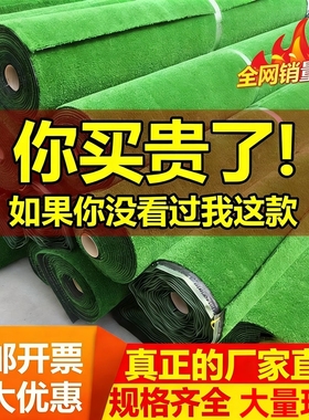 工地围挡仿真草坪庭院假草皮室外地面绿化施工绿地幼儿园铺地绿化