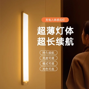 人来即亮充电人体感应灯夜间自动感应灯带磁吸入户门灯免布线灯条
