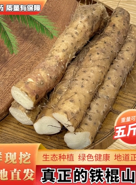 正宗铁棍山药整箱小白嘴新鲜蔬菜焦作垆土现挖农家自种绿色原产地