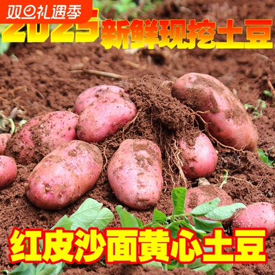云南红皮黄心土豆|超2000次加购