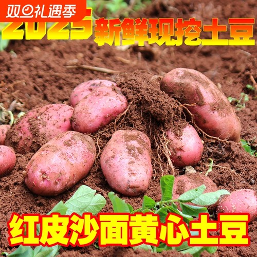 云南红皮黄心土豆|超2000次加购