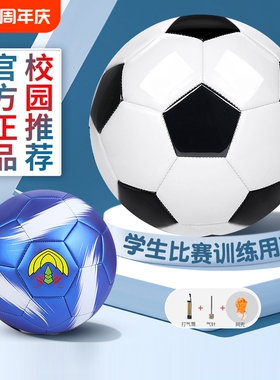 足球儿童4号小学生专用球3号四号幼儿园5号青少年中考成人训练球