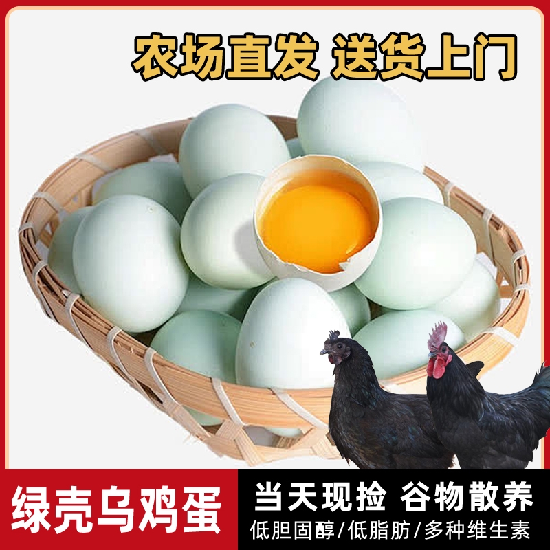 散养乌鸡蛋绿壳土鸡蛋