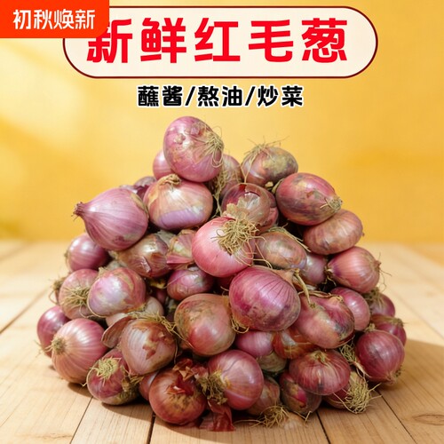 新鲜农家笨毛葱小圆葱红葱头东北洋葱笨毛葱头饭店佐料圆葱头种植