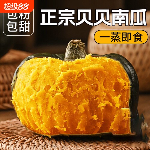正宗贝贝南瓜板栗小南瓜