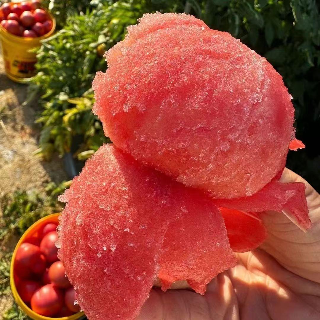 云南高山沙瓤西红柿发8成熟度新鲜水果生吃蔬菜番茄非普罗旺斯