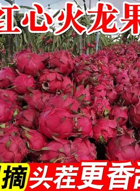 红心火龙果超甜应季新鲜水果红肉