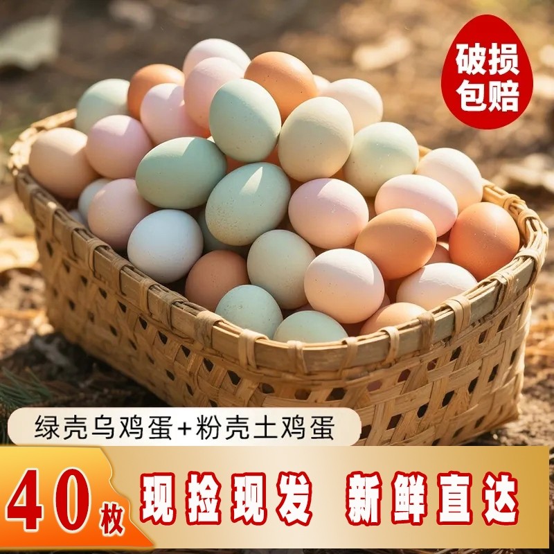 混装乌鸡蛋土鸡蛋正宗农家散养鲜鸡蛋批发虫草柴笨鸡蛋农场直发