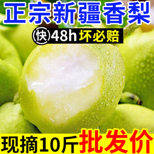 【正宗】爆甜新疆香梨新鲜水果梨子红香酥梨源自库尔勒杂交品种