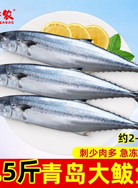 千牛农胶东大鲅鱼深海马鲛鱼冷冻
