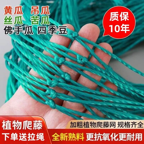 爬藤网植物攀爬网加粗耐用10年