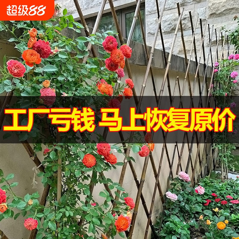 伸缩竹篱笆户外围墙|千人加购