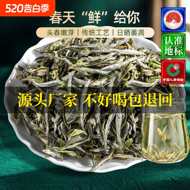 福鼎白茶2024头采头春特级白牡丹王高山新茶叶500g花香送礼散