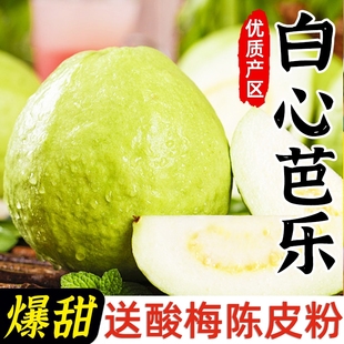 水果白巴乐果白肉潘石榴番石榴果园 奶油应当季 白心芭乐果新鲜 包邮