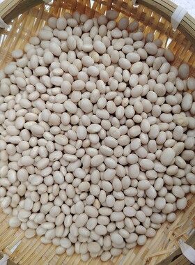 云南小白豆饭豆米白芸豆煲汤豆子干货珍珠豆散装优质农家贵州新货