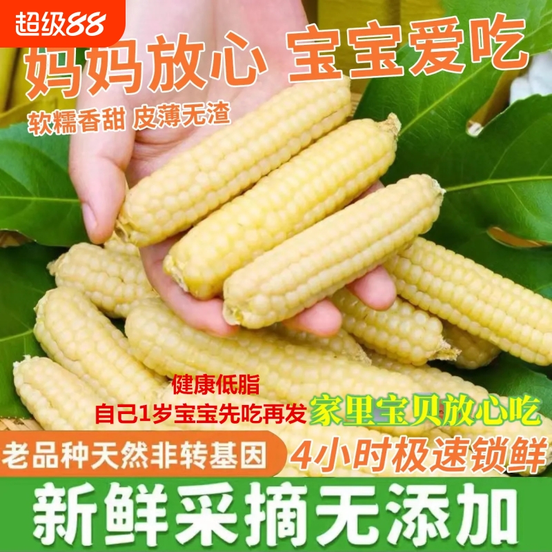 西双版纳0添加老品种真拇指玉米