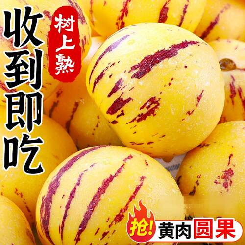 云南石林人参果新鲜水果当季树上熟正宗七彩黄肉人生果9斤包邮