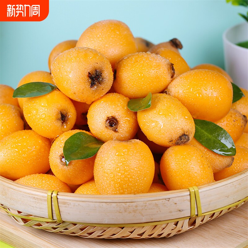 特级四川攀枝花米易枇杷新鲜水果当季早钟鲜果包邮3斤大果甜