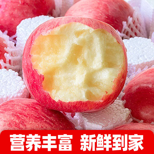 【精品大果】山东直发烟台红富士